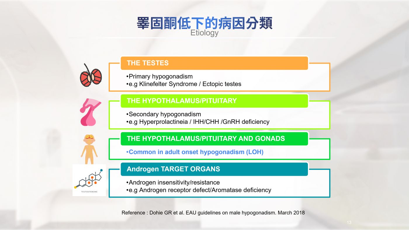 男性更年期與睪固酮補充 Testosterone replacement therapy 陳昭安醫師