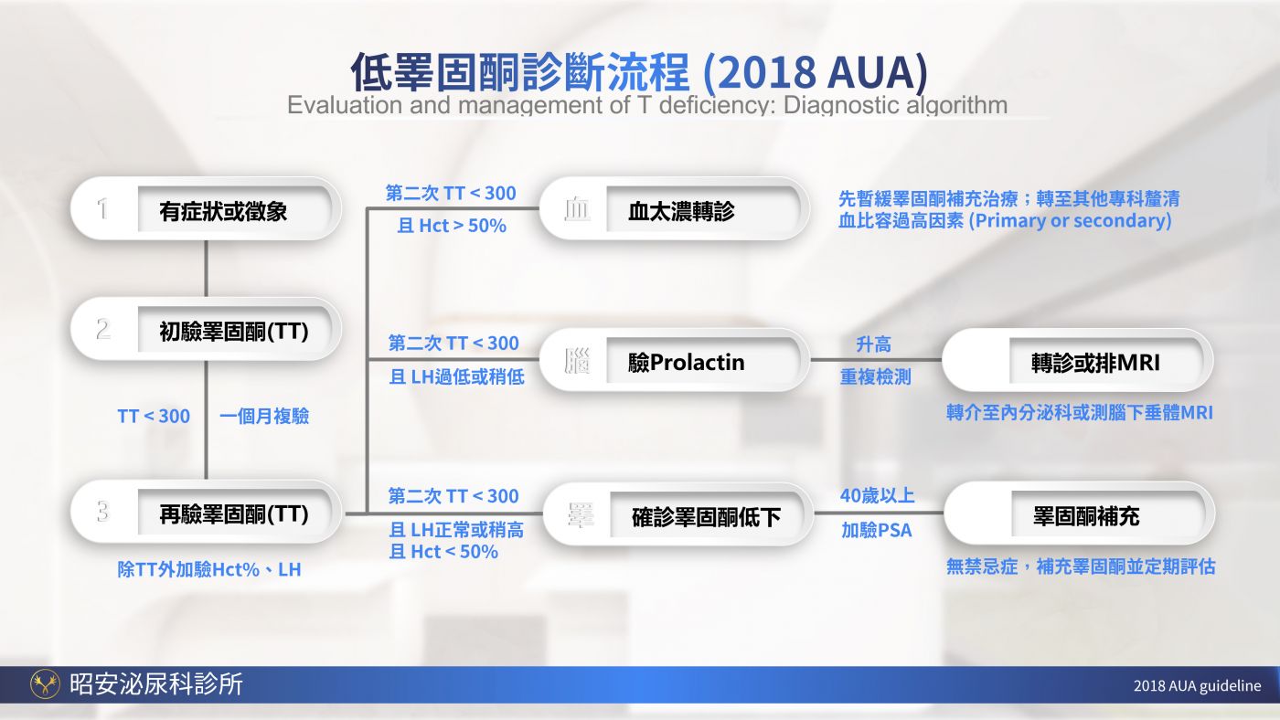 男性更年期與睪固酮補充 Testosterone replacement therapy 陳昭安醫師