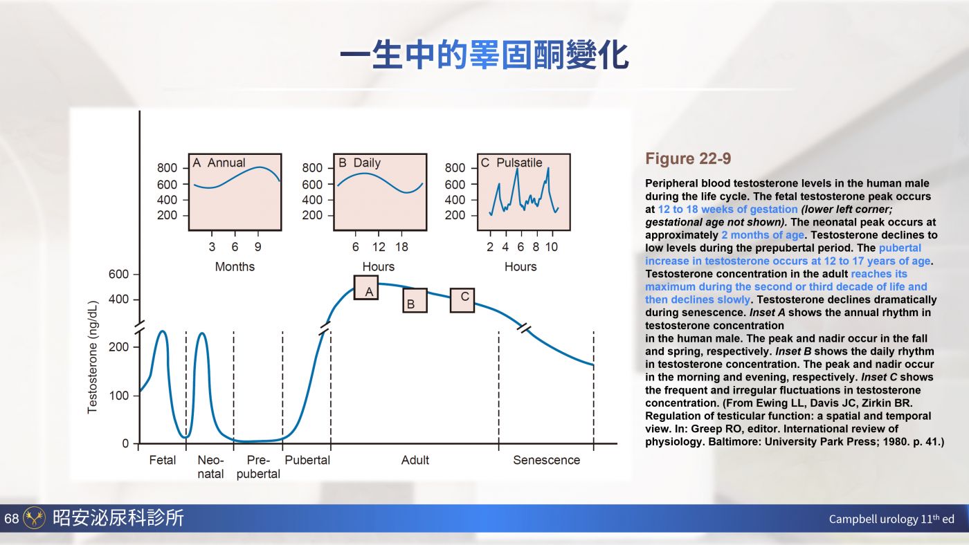 男性更年期與睪固酮補充 Testosterone replacement therapy 陳昭安醫師